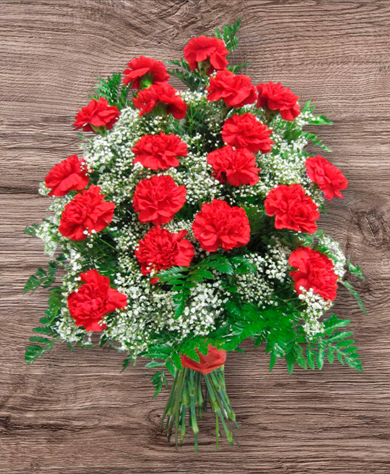 Ramo 18 Claveles Funerario